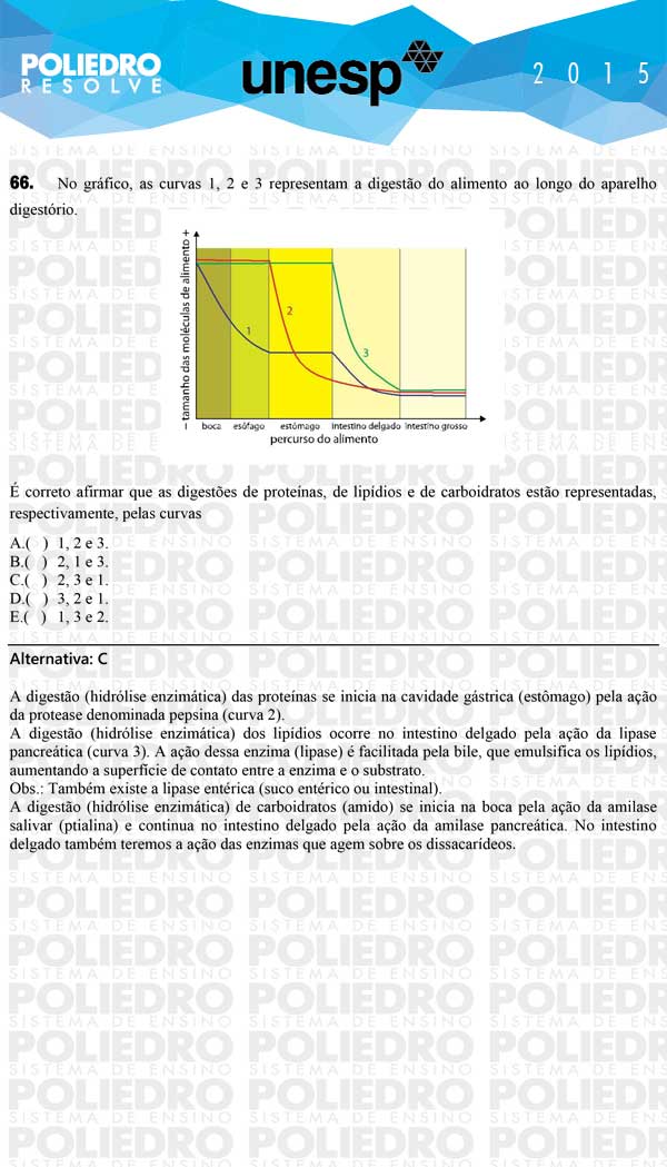 Questão 66 - 1ª Fase - UNESP 2015