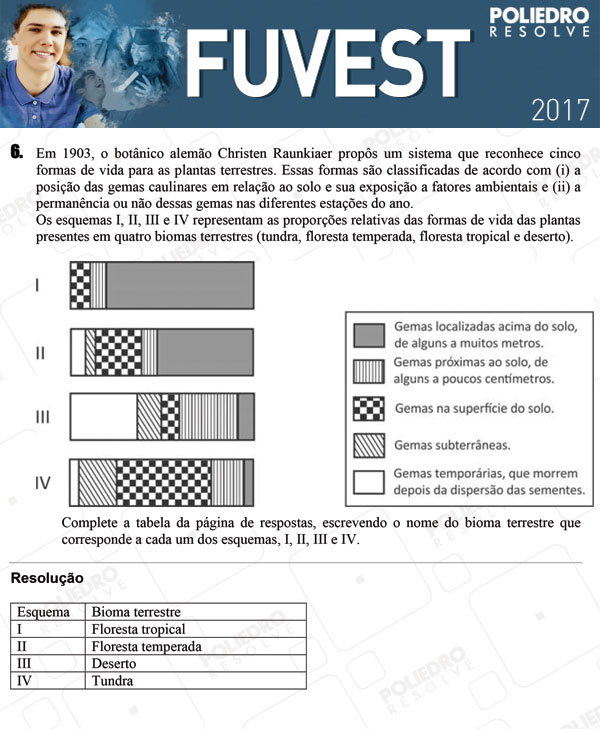 Dissertação 6 - 2ª Fase - 3º Dia - FUVEST 2017