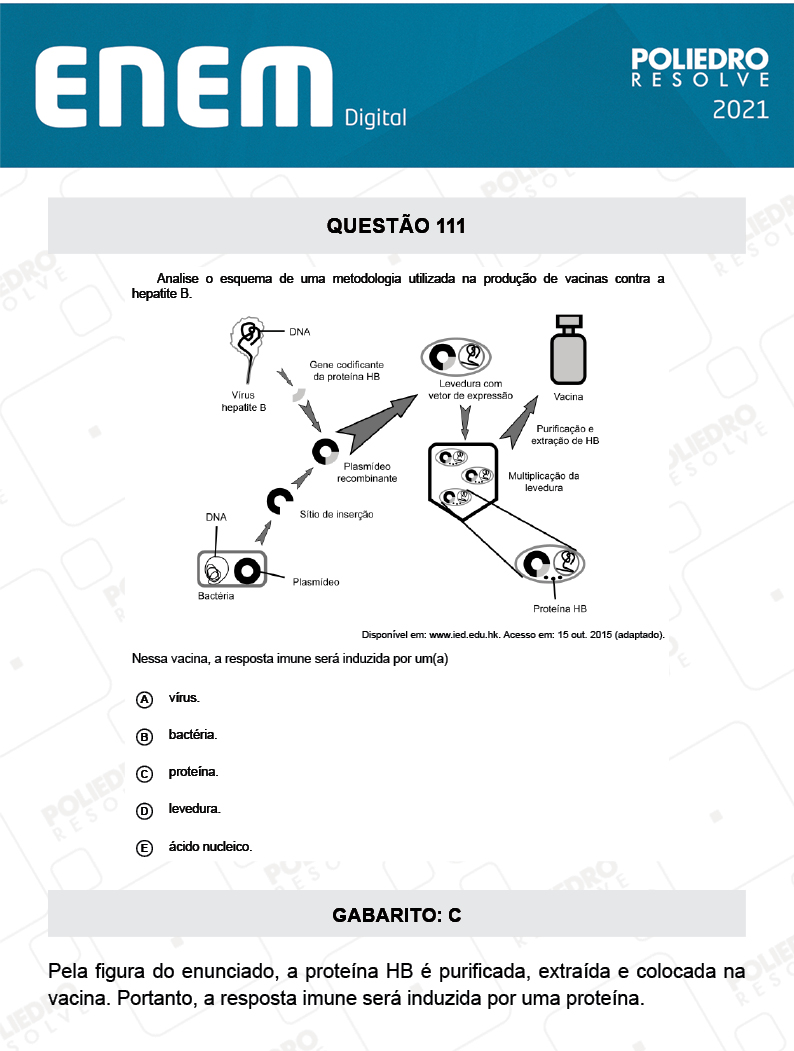 Questão 111 - 2º Dia - Prova Azul - ENEM DIGITAL 2020