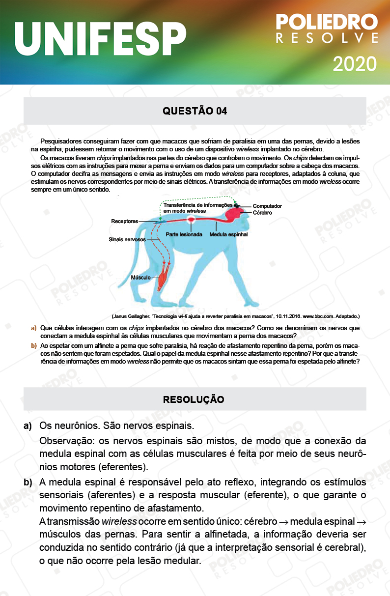 Dissertação 4 - Fase única - 2º Dia - UNIFESP 2020