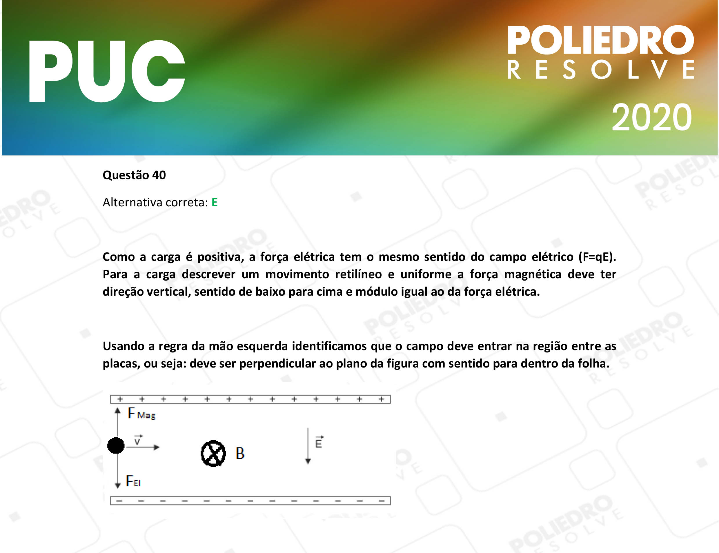 Questão 40 - 1ª Fase - PUC-Campinas 2020