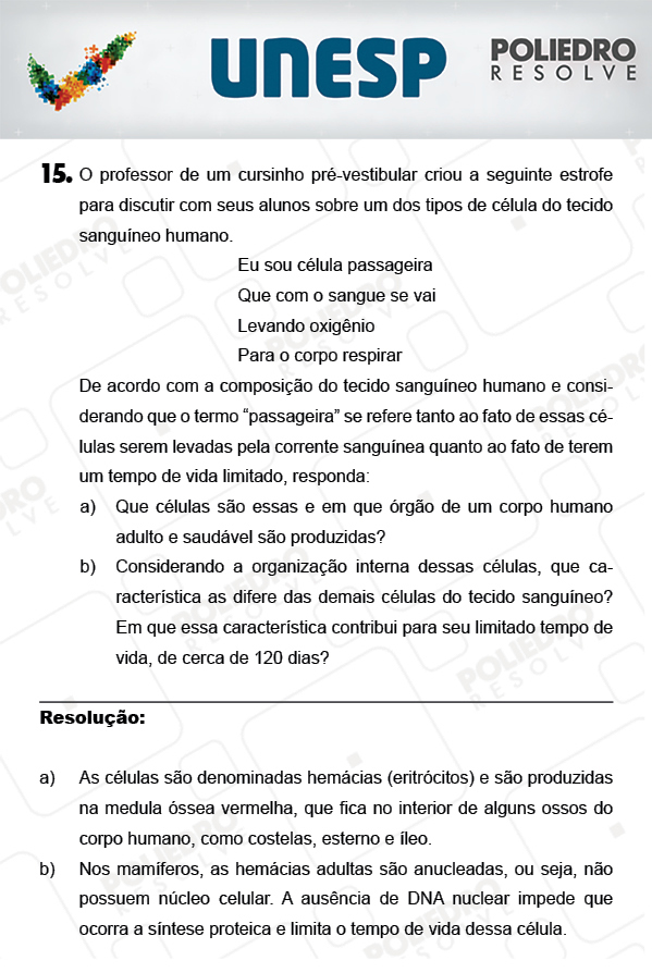 Dissertação 15 - 2ª Fase - UNESP 2018