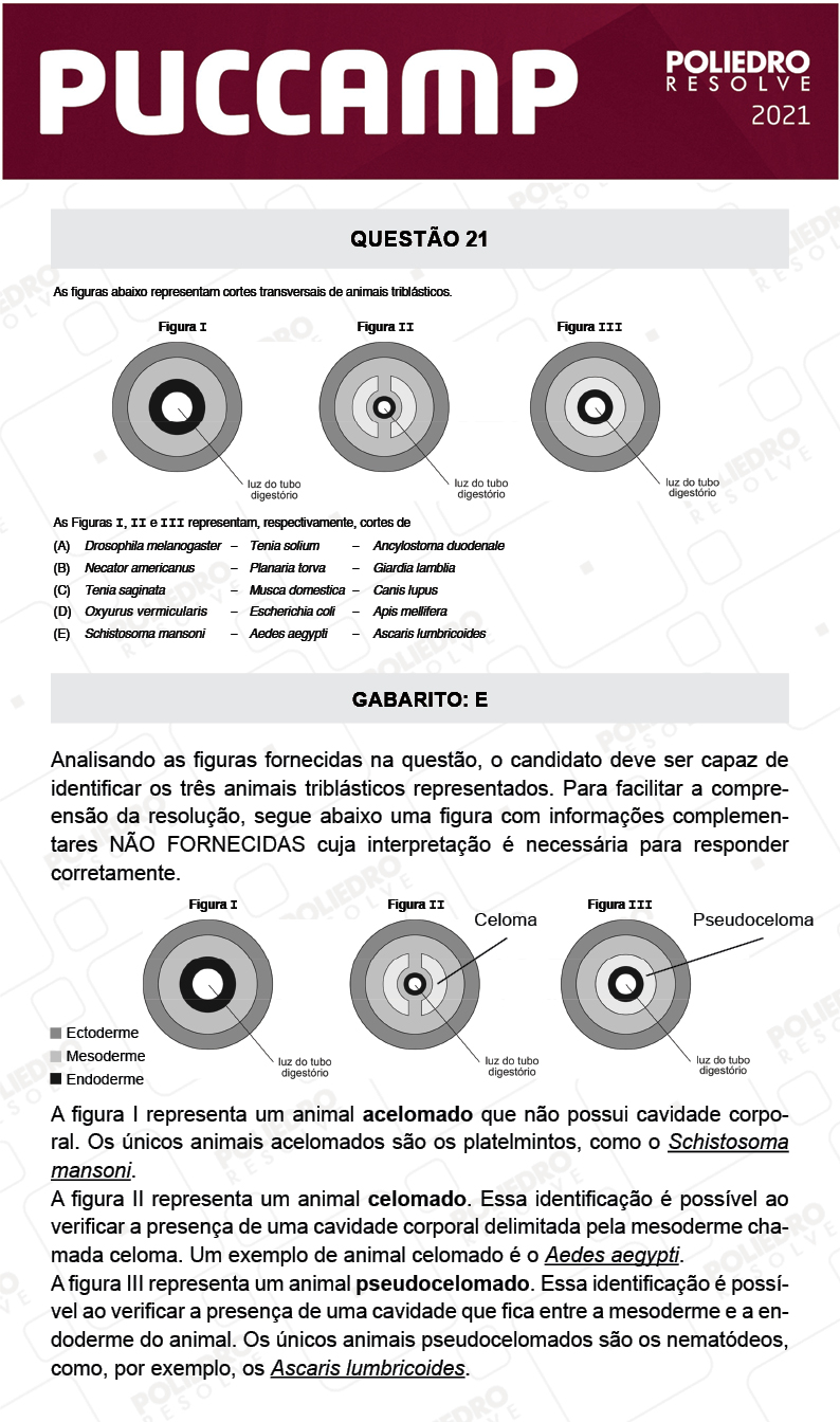 Questão 21 - MEDICINA - PUC-Campinas 2021