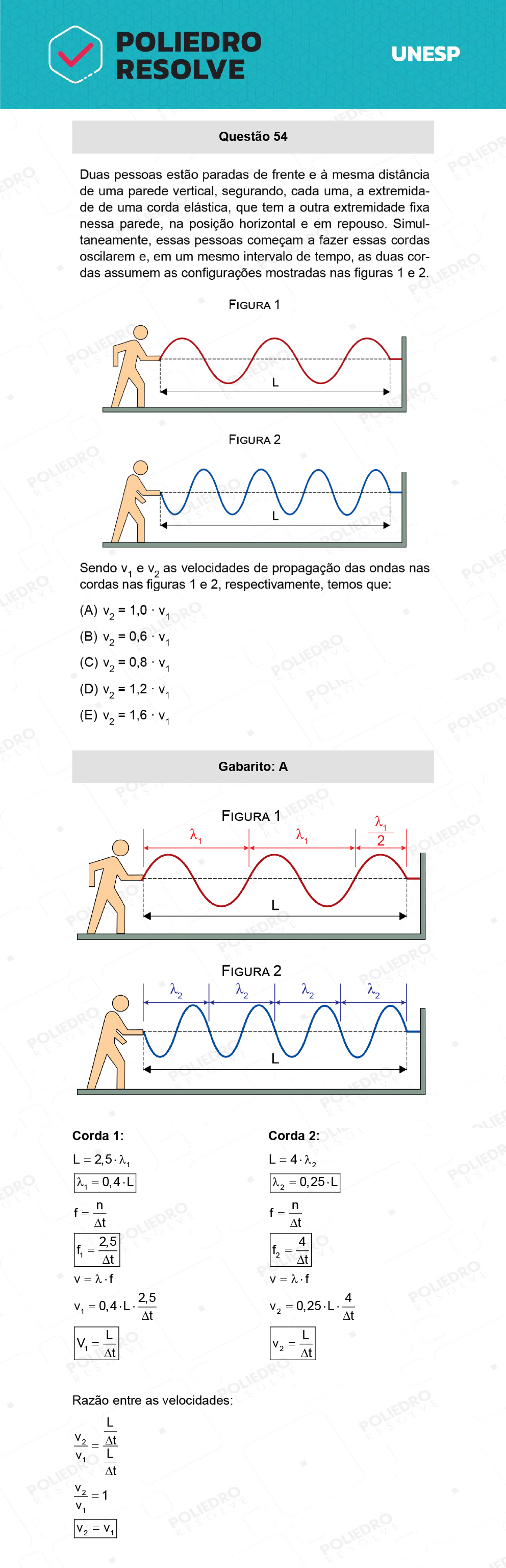 Questão 54 - 2ª Fase - UNESP 2022