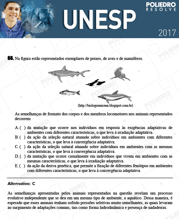 Questão 68 - 1ª Fase - UNESP 2017