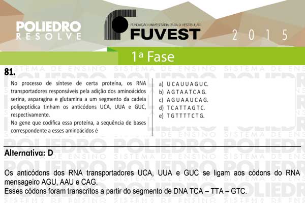 Questão 81 - 1ª Fase - FUVEST 2015