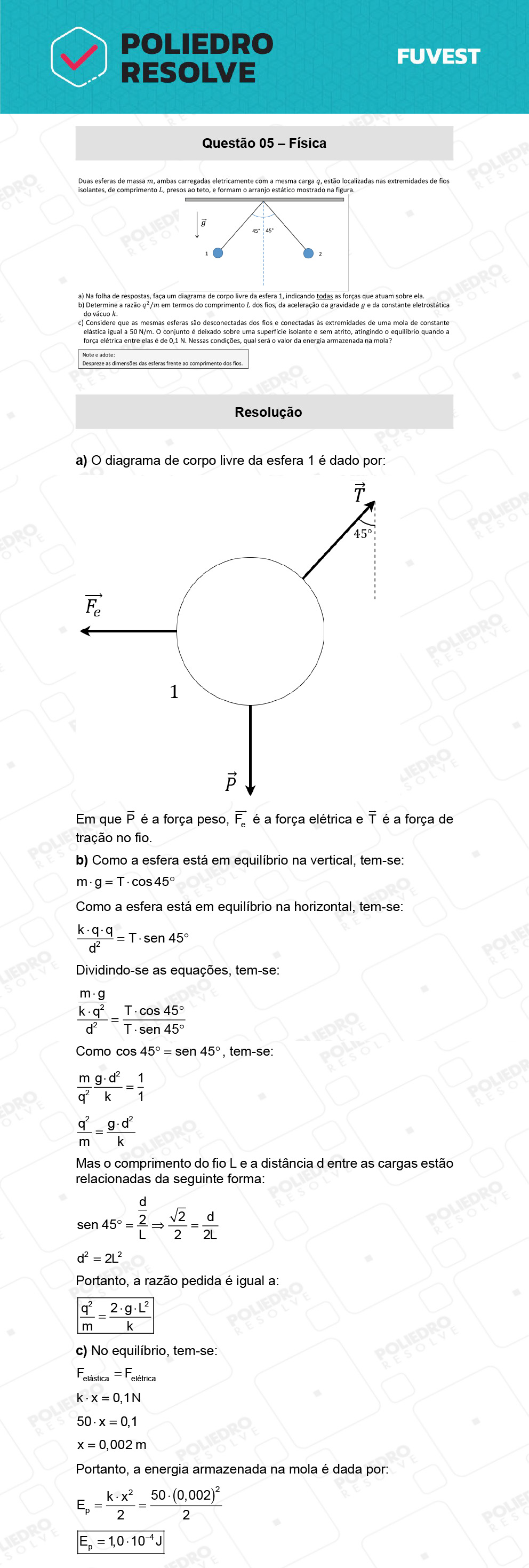 Dissertação 5 - 2ª Fase - 2º Dia - FUVEST 2022