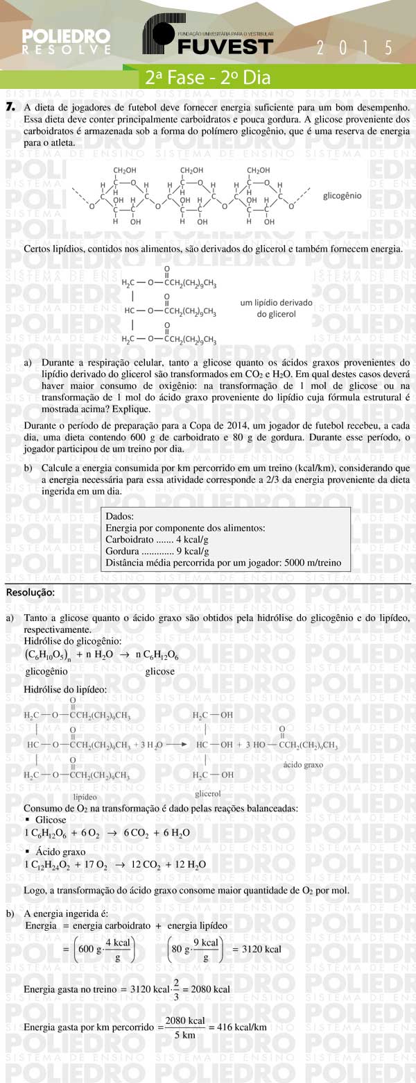 Dissertação 7 - 2ª Fase 2º Dia - FUVEST 2015