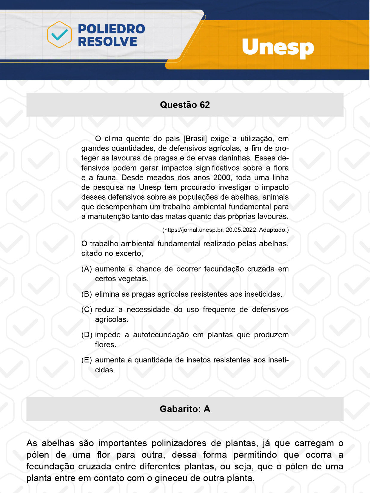 Questão 62 - 1ª Fase - UNESP 2024