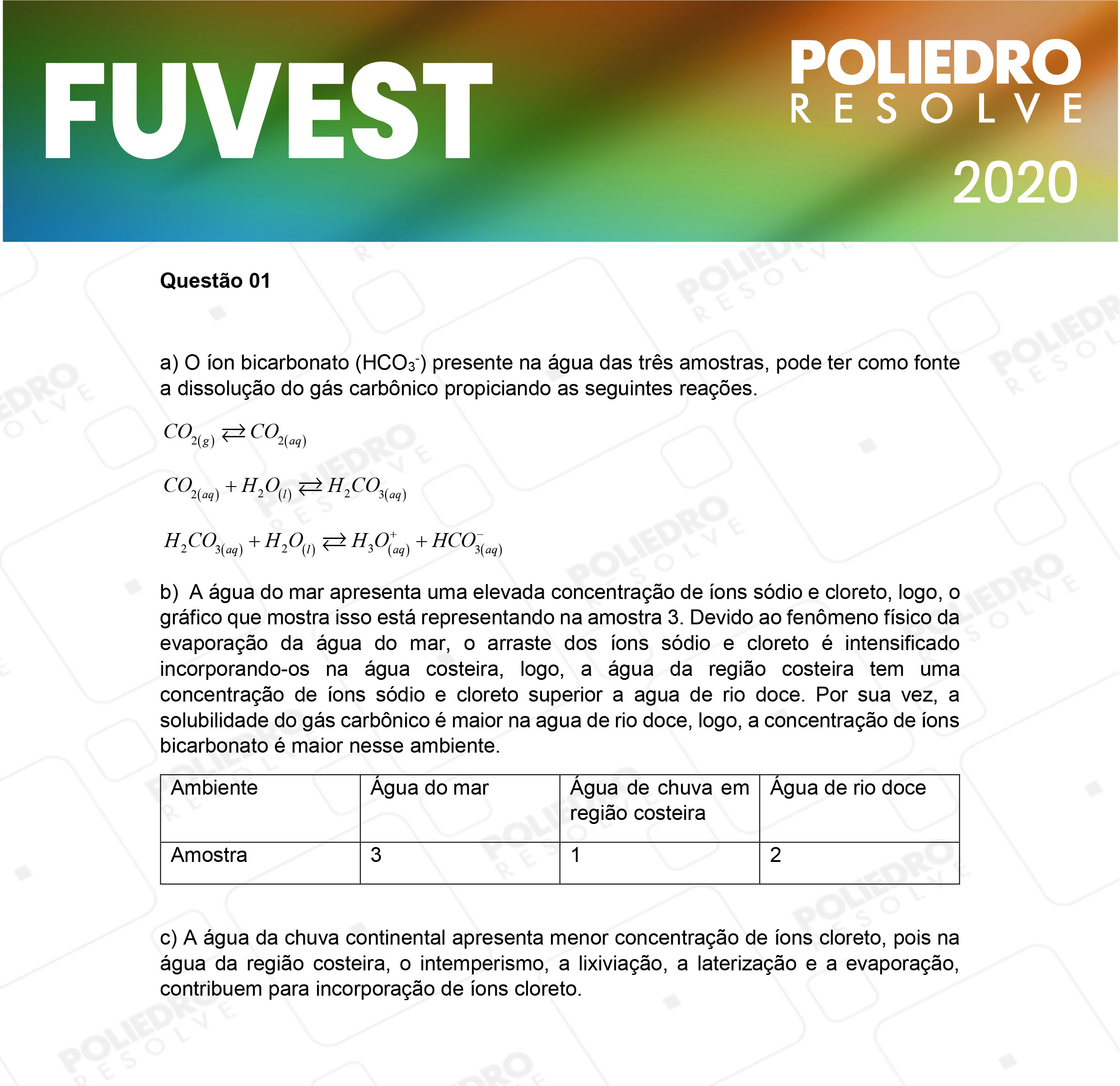 Dissertação 1 - 2ª Fase - 2º Dia - FUVEST 2020