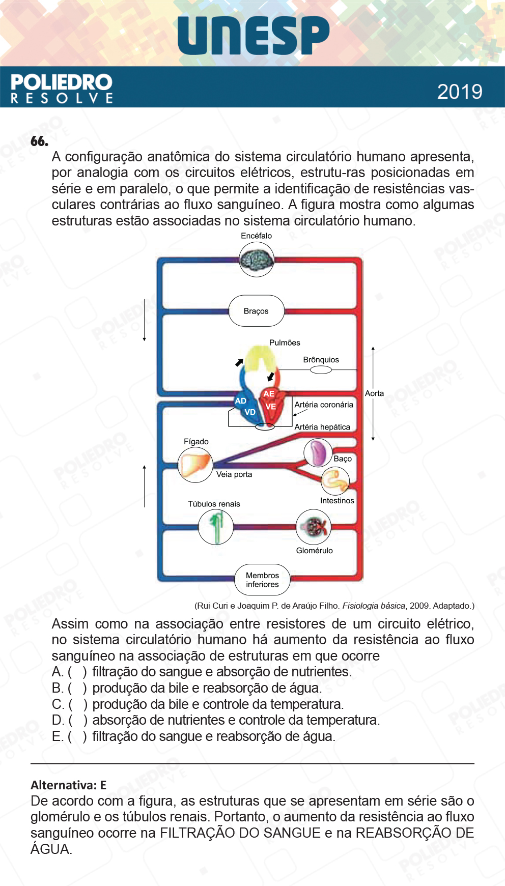 Questão 66 - 1ª Fase - UNESP 2019