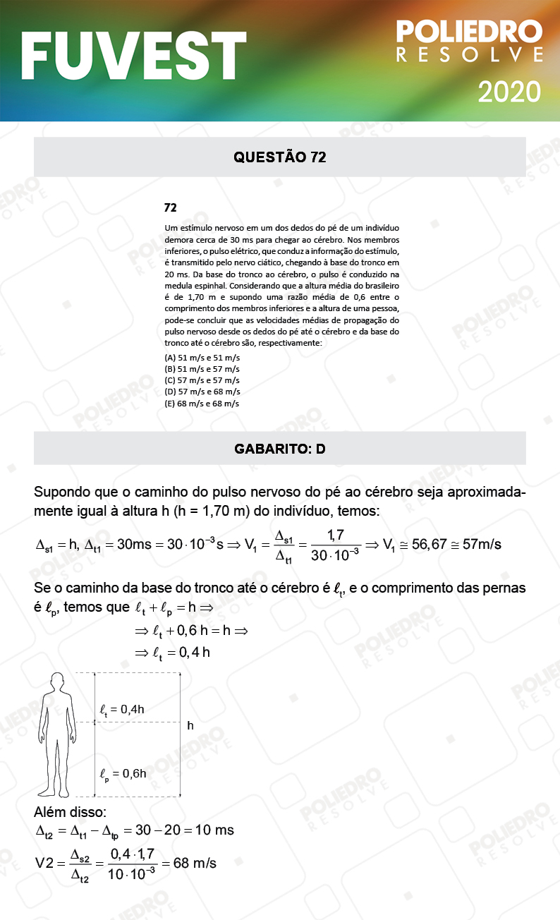 Questão 72 - 1ª Fase - Prova V - FUVEST 2020