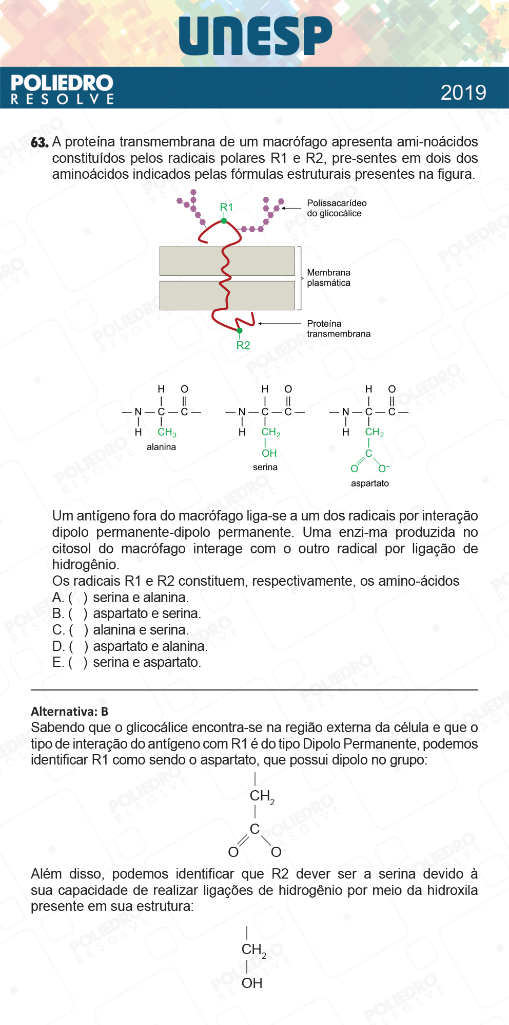 Questão 63 - 1ª Fase - UNESP 2019