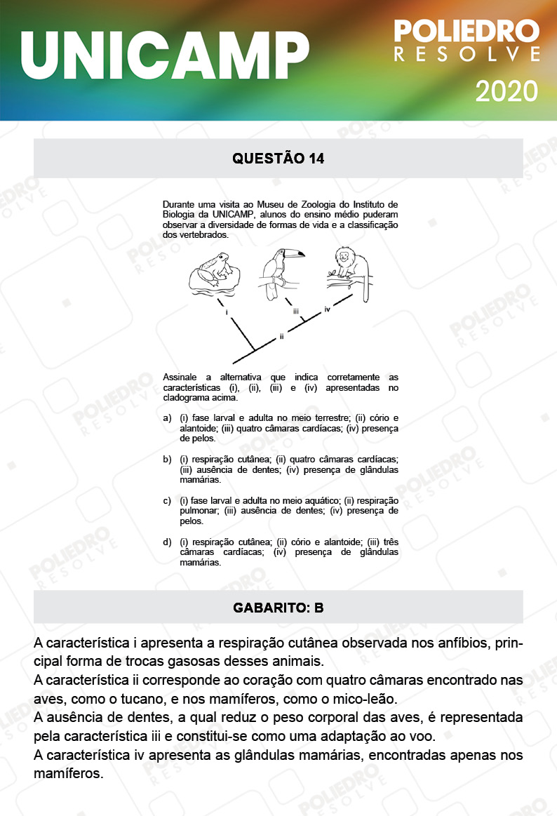 Questão 14 - 1ª Fase - Prova Q e X - UNICAMP 2020