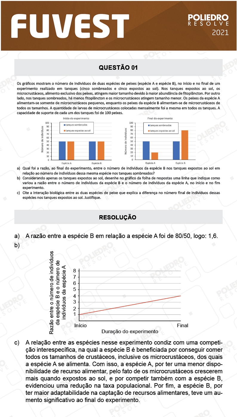 Dissertação 1 - 2ª Fase - 2º Dia - FUVEST 2021