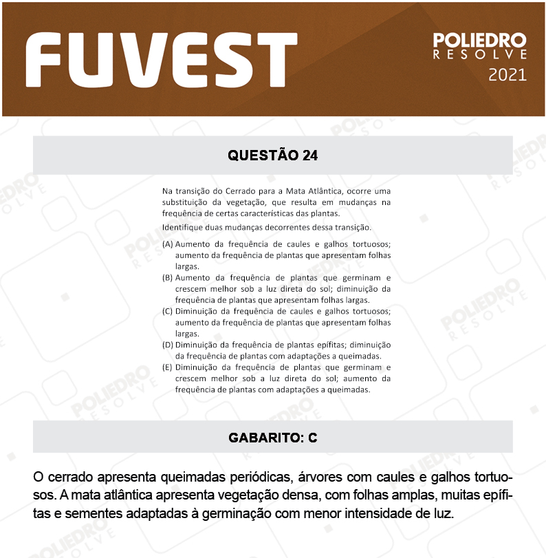 Questão 24 - 1ª Fase - FUVEST 2021