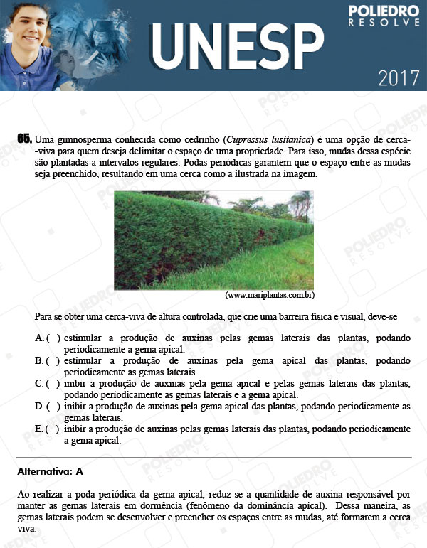 Questão 65 - 1ª Fase - UNESP 2017