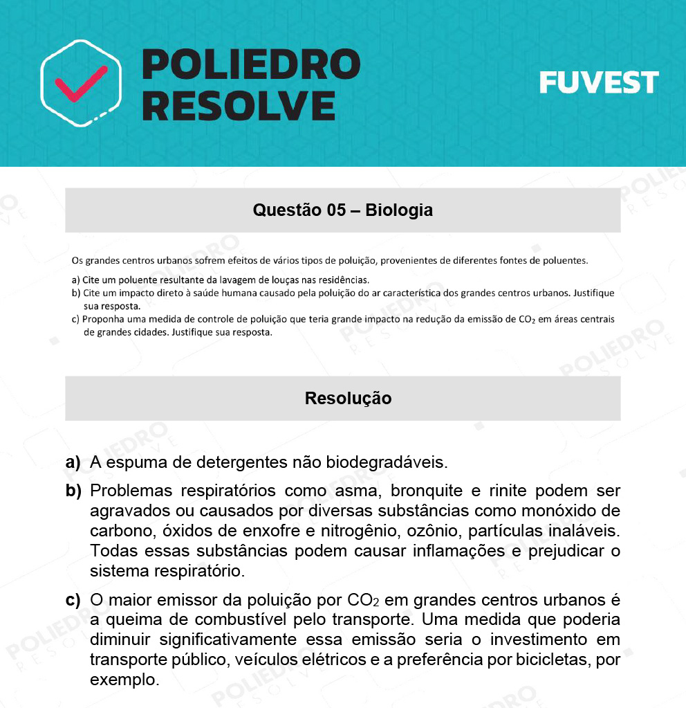 Dissertação 5 - 2ª Fase - 2º Dia - FUVEST 2022