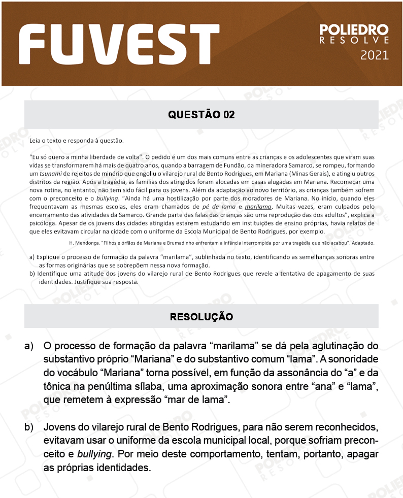 Dissertação 2 - 2ª Fase - 1º Dia - FUVEST 2021