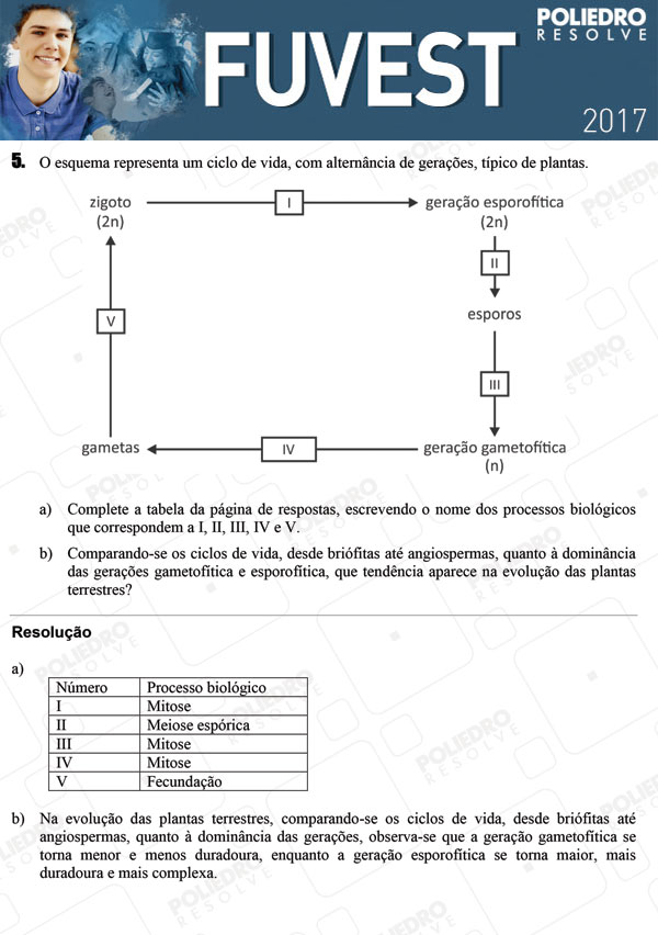 Dissertação 5 - 2ª Fase - 3º Dia - FUVEST 2017