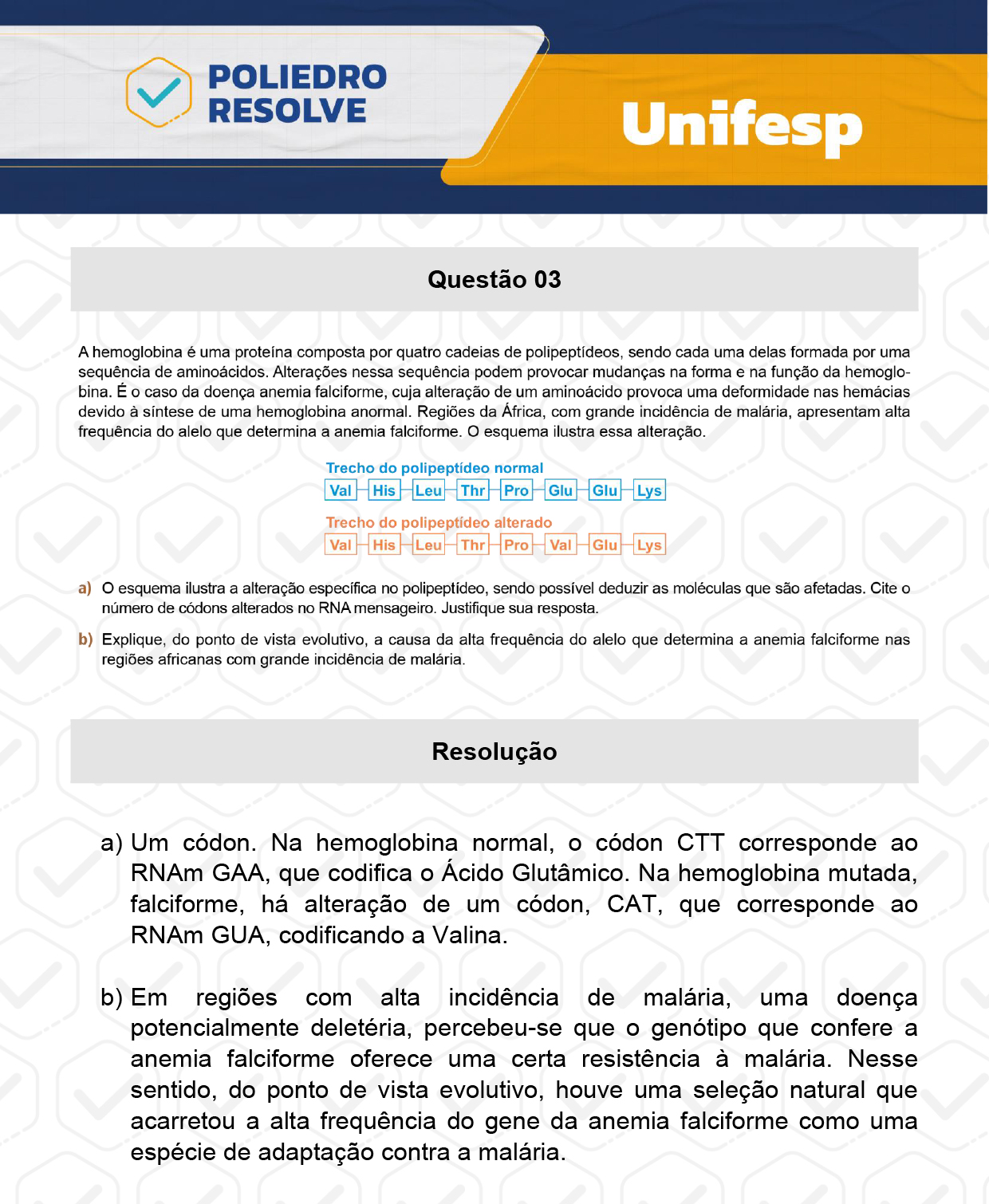 Dissertação 3 - 2º Dia - Reaplicação - UNIFESP 2024