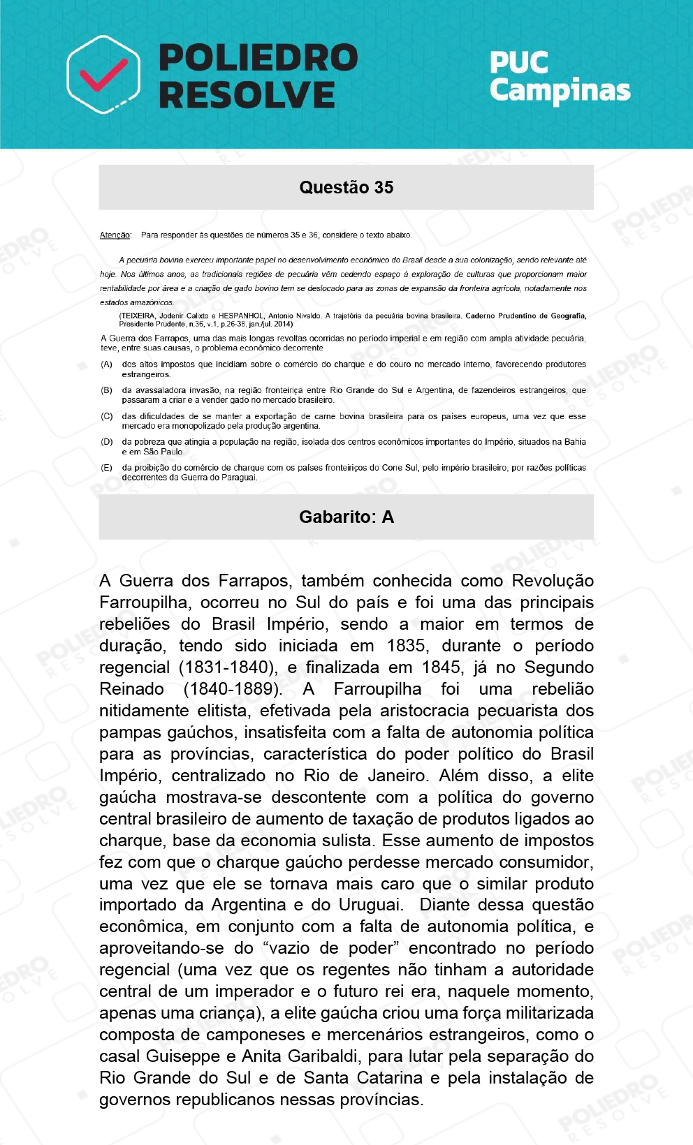 Questão 35 - Demais cursos - PUC-Campinas 2022