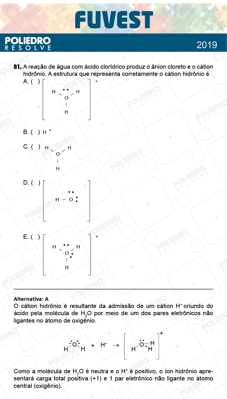 Questão 81 - 1ª Fase - Prova K - FUVEST 2019