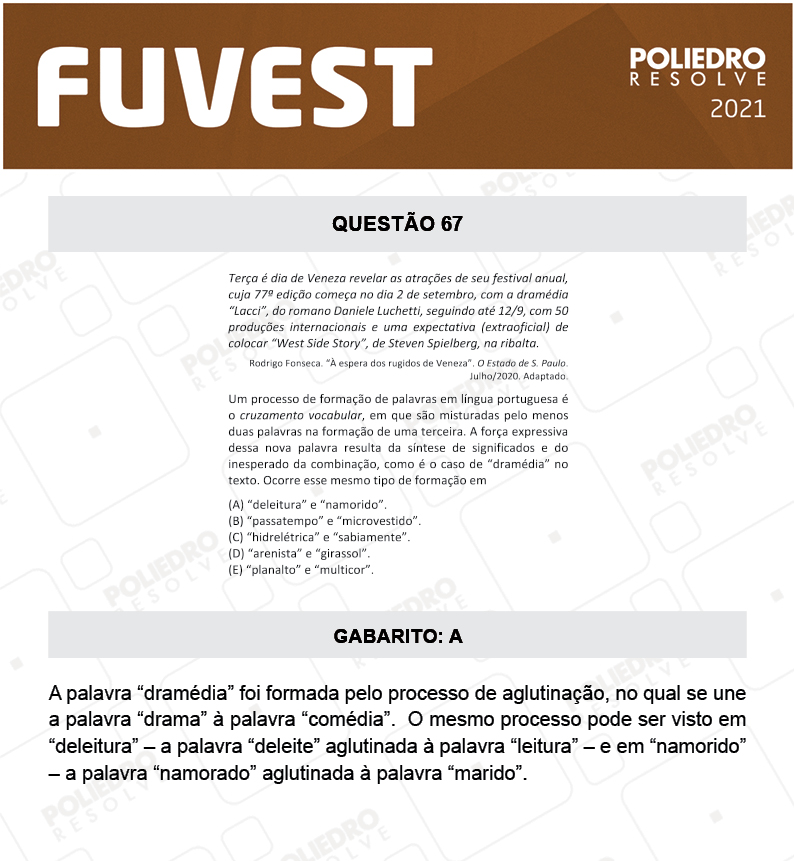 Questão 67 - 1ª Fase - FUVEST 2021