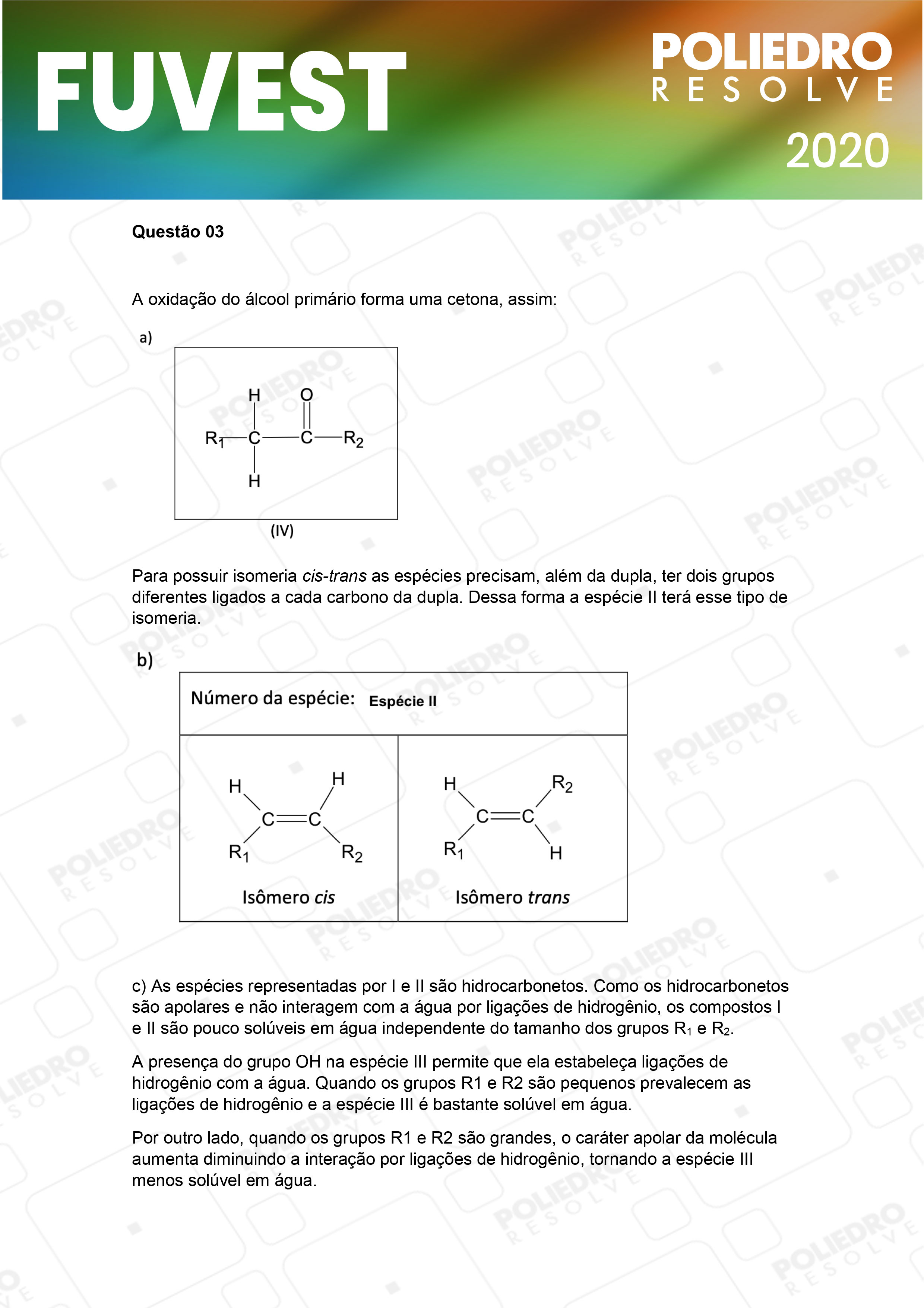 Dissertação 3 - 2ª Fase - 2º Dia - FUVEST 2020