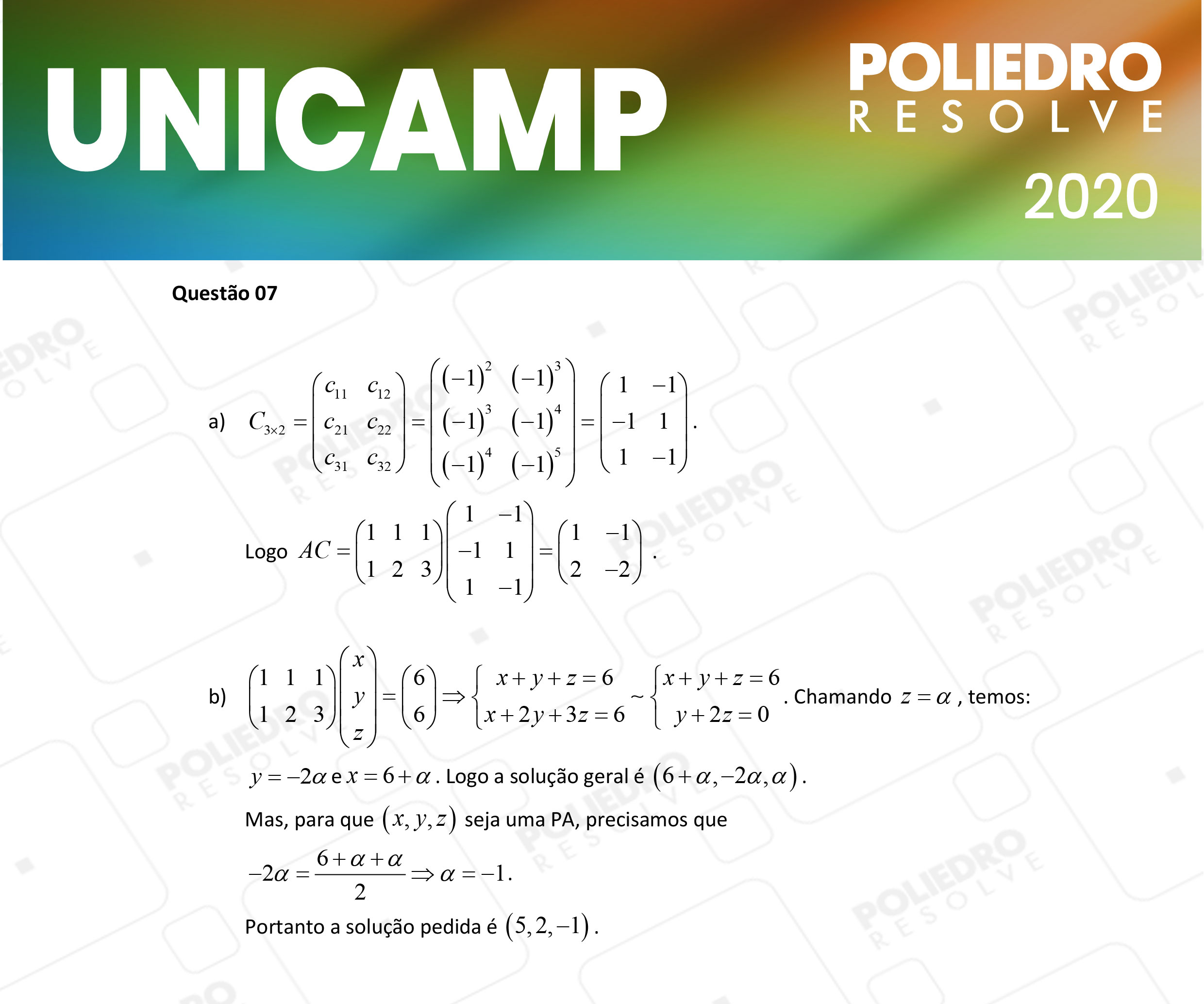 Dissertação 7 - 2ª Fase - 2º Dia - UNICAMP 2020