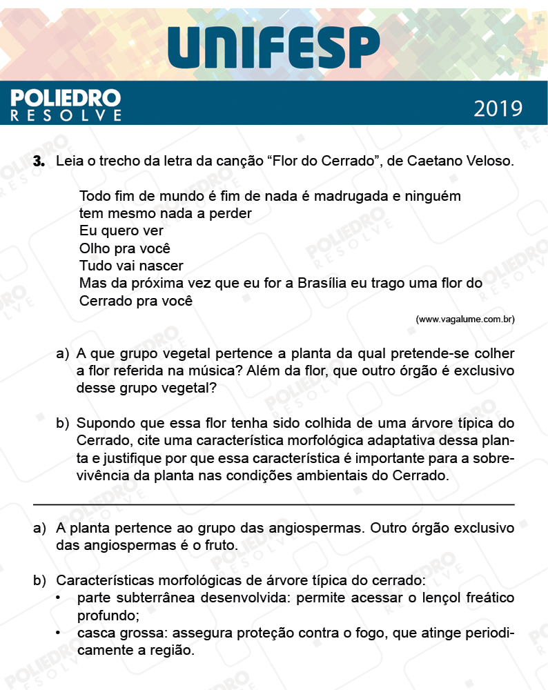 Dissertação 3 - Fase única - 2º Dia - UNIFESP 2019