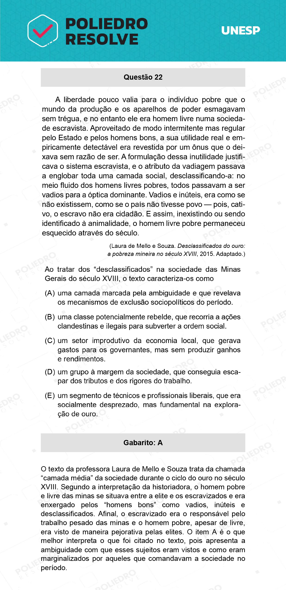 Questão 22 - 2ª Fase - UNESP 2022