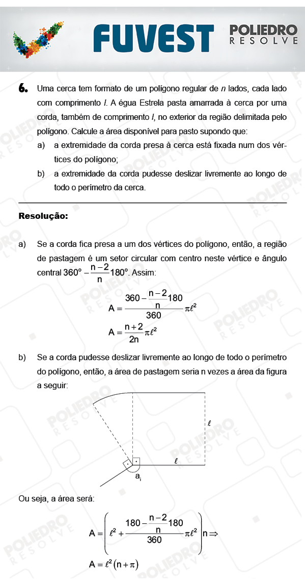 Dissertação 6 - 2ª Fase - 2º Dia - FUVEST 2018