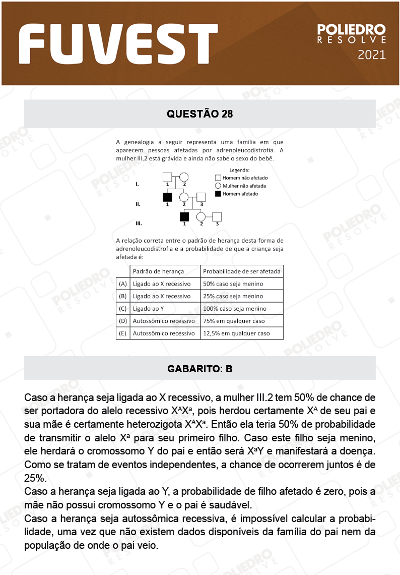 Questão 28 - 1ª Fase - FUVEST 2021