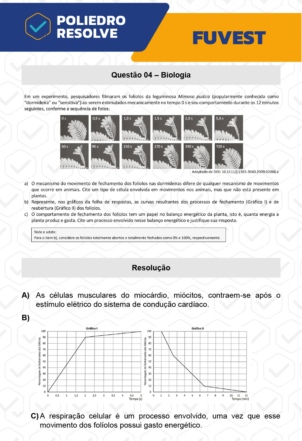 Dissertação 4 - 2ª Fase - 2º Dia - FUVEST 2023