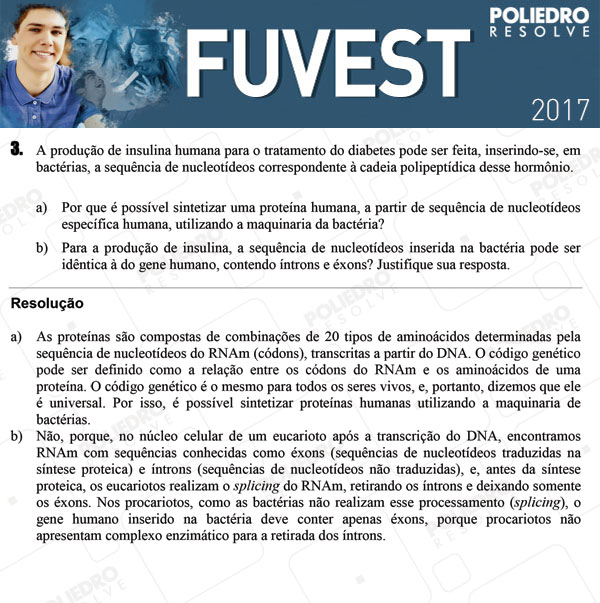 Dissertação 3 - 2ª Fase - 3º Dia - FUVEST 2017