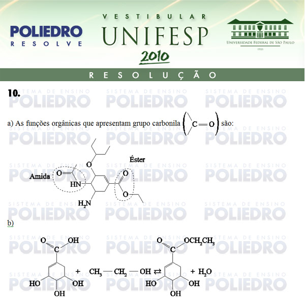 Dissertação 10 - Conhecimentos Específicos - UNIFESP 2010