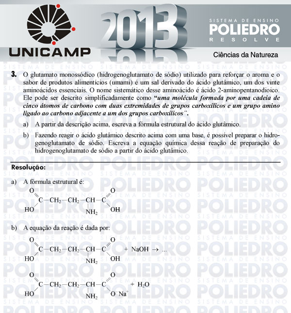 Dissertação 3 - 2ª Fase - UNICAMP 2013