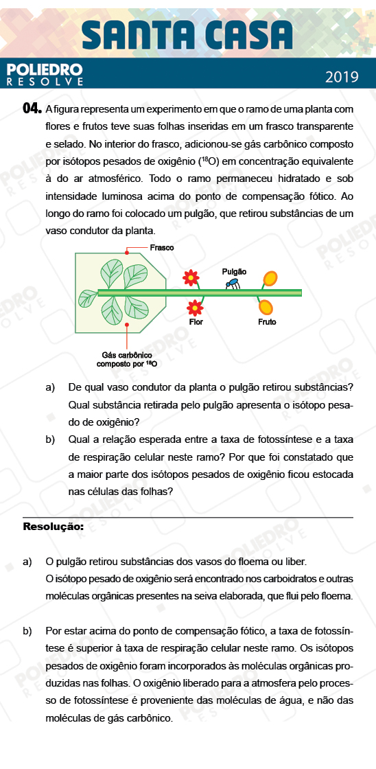 Dissertação 4 - 1º Dia - Dissertativas - SANTA CASA 2019