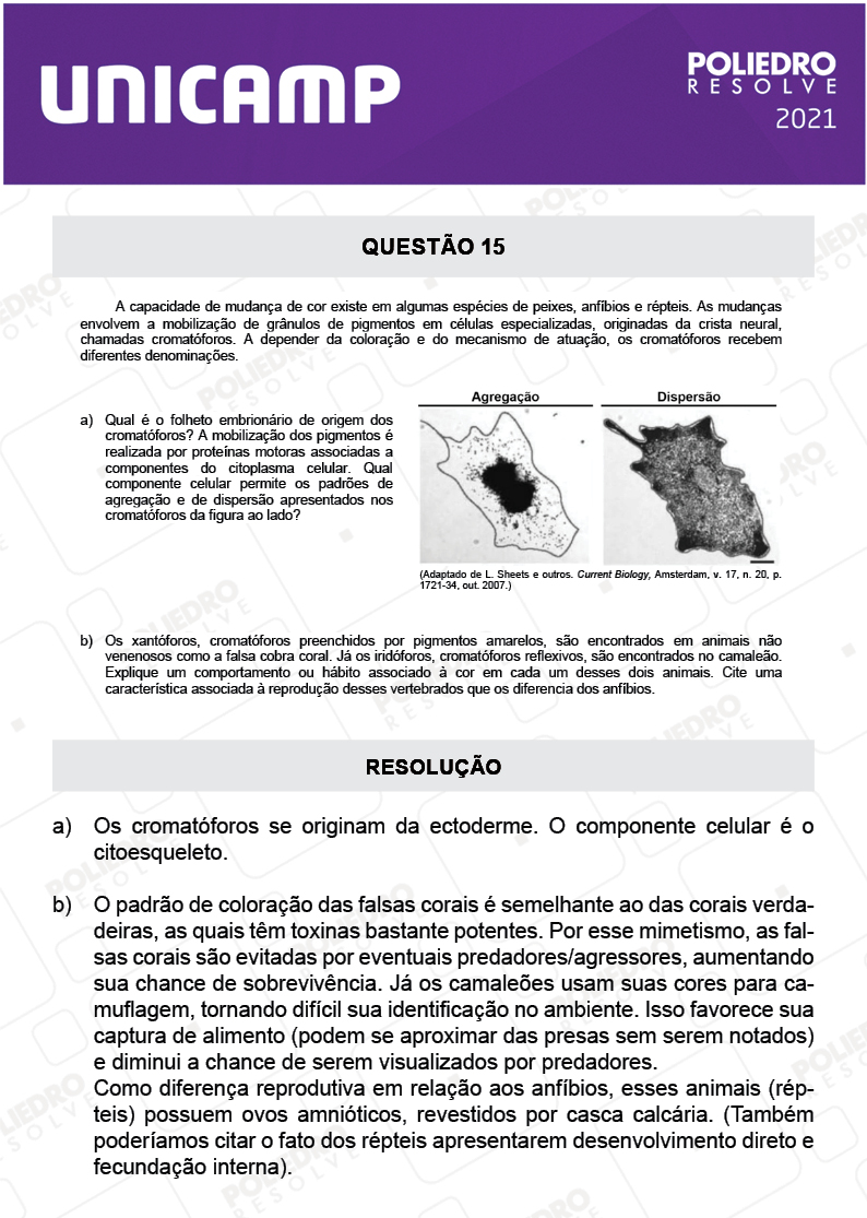 Dissertação 15 - 2ª Fase - 2º Dia - UNICAMP 2021