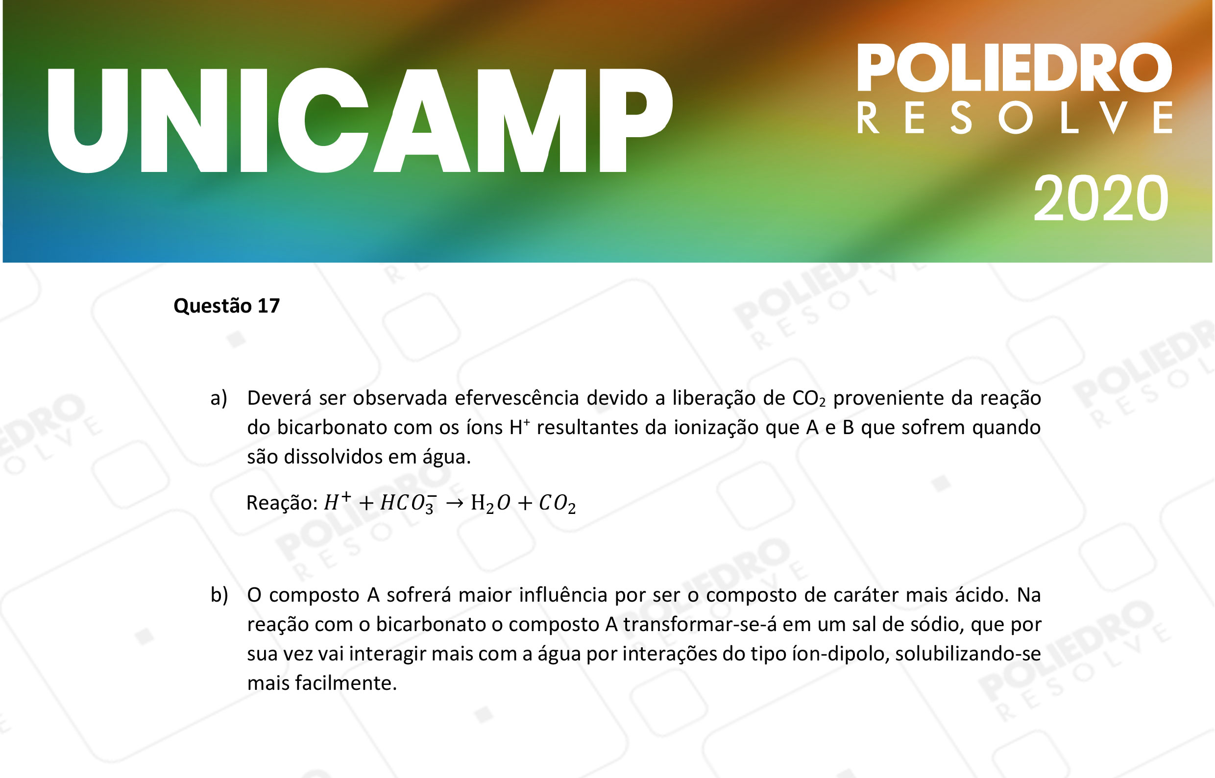 Dissertação 17 - 2ª Fase - 2º Dia - UNICAMP 2020