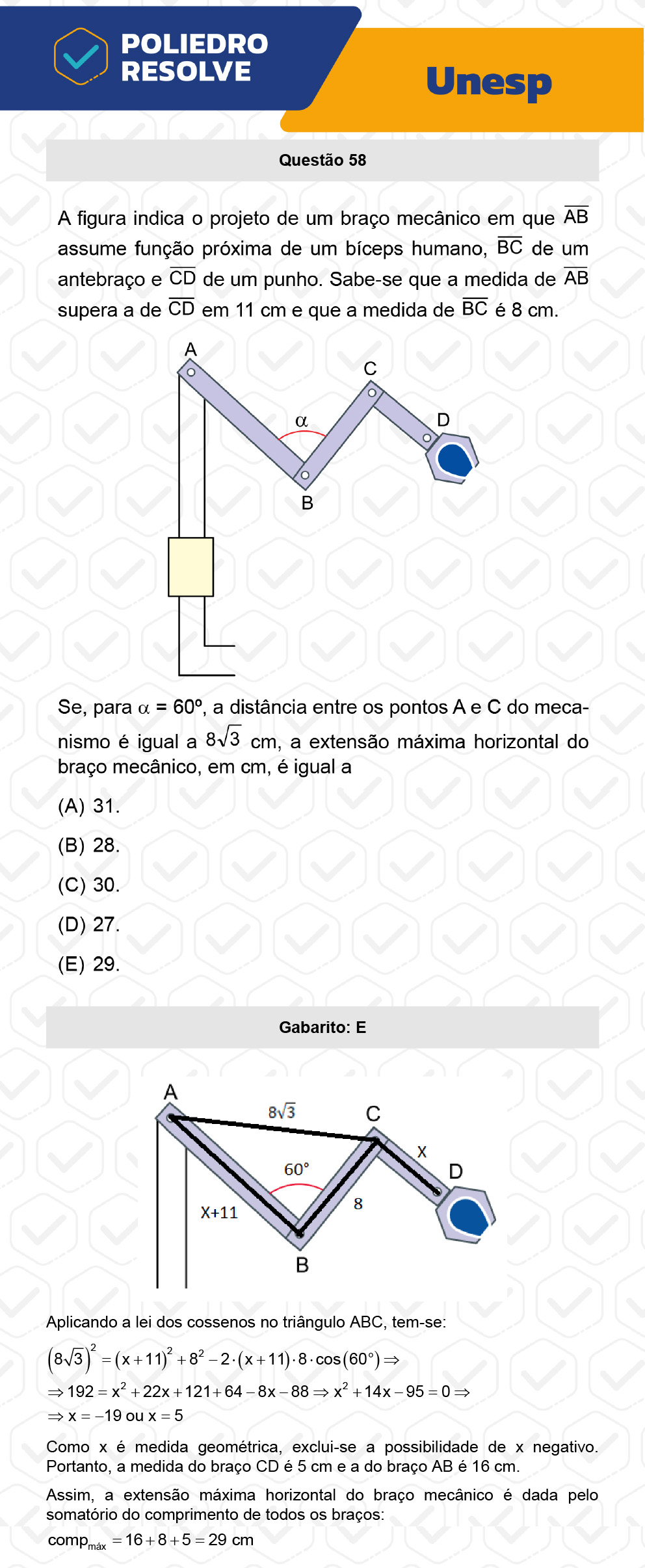 Questão 58 - 2ª Fase - UNESP 2023