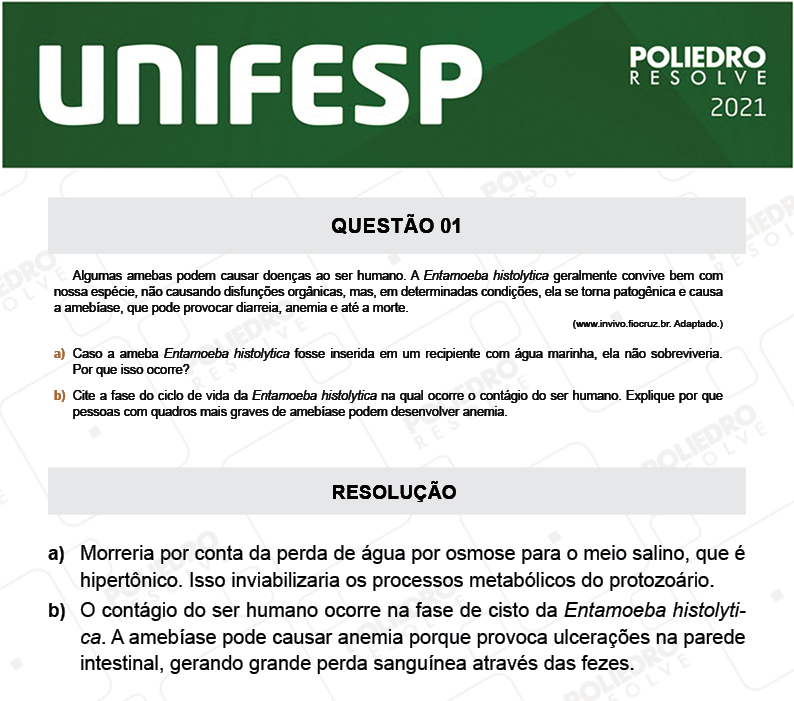 Dissertação 1 - Fase única - 2º Dia - UNIFESP 2021