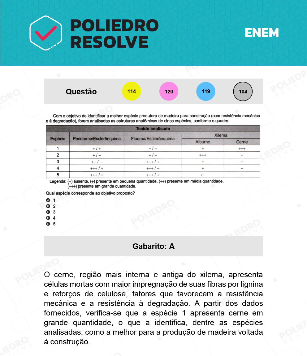 Questão 120 - 2º Dia - Prova Rosa - ENEM 2021