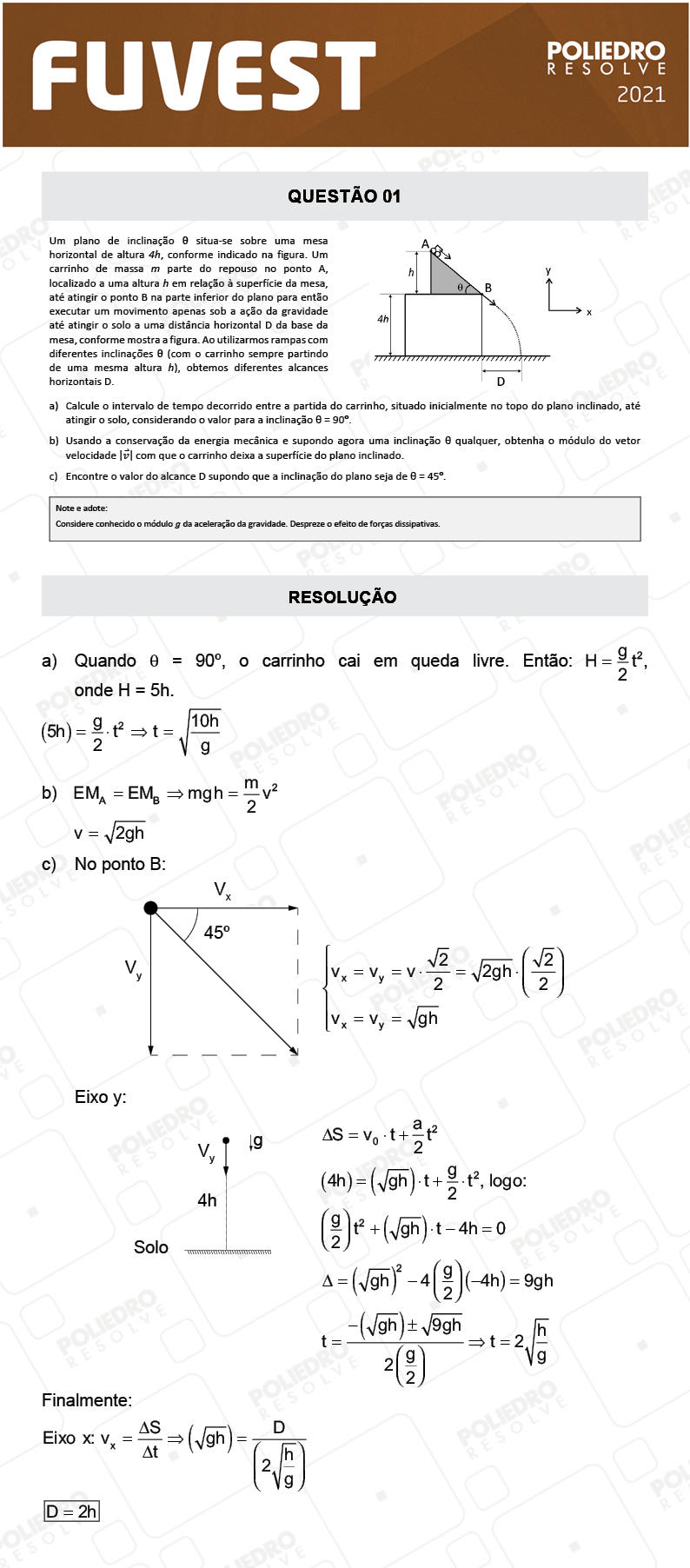 Dissertação 1 - 2ª Fase - 2º Dia - FUVEST 2021