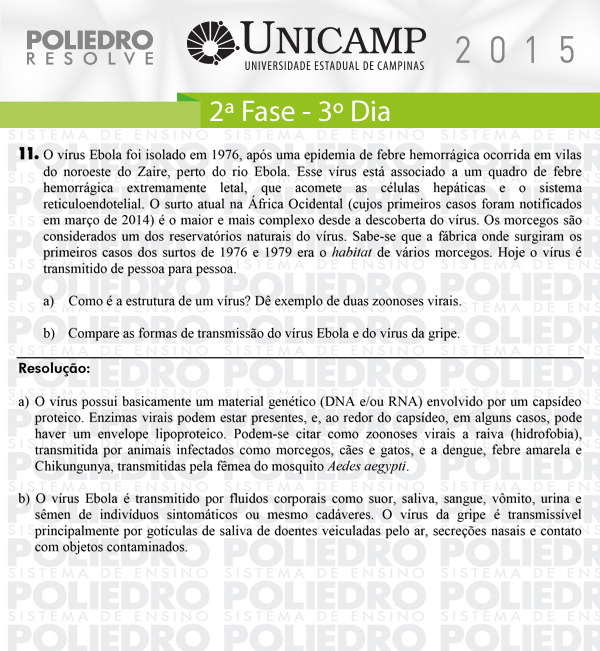 Dissertação 11 - 2ª Fase 3º Dia - UNICAMP 2015