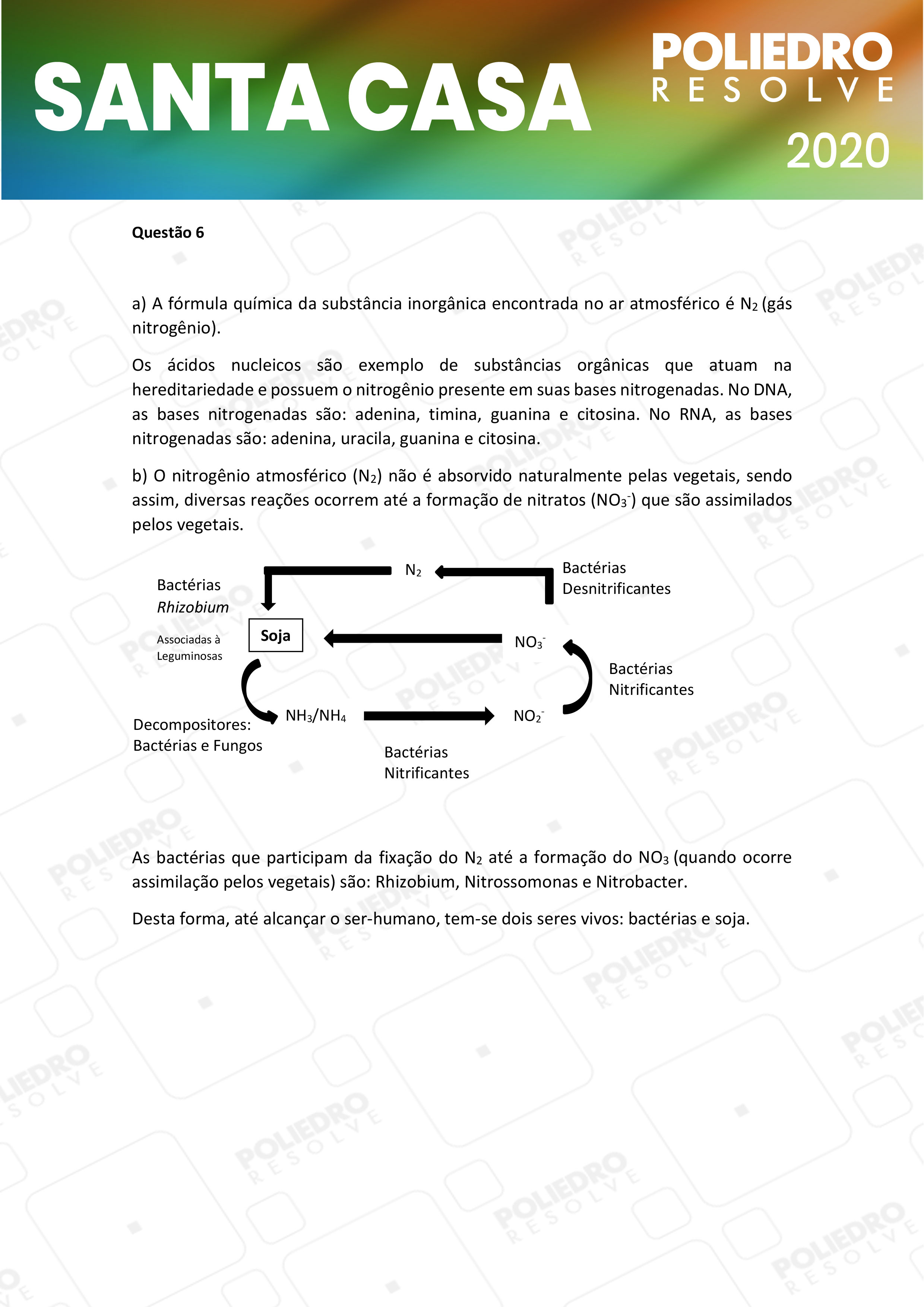 Dissertação 6 - 1º Dia - SANTA CASA 2020