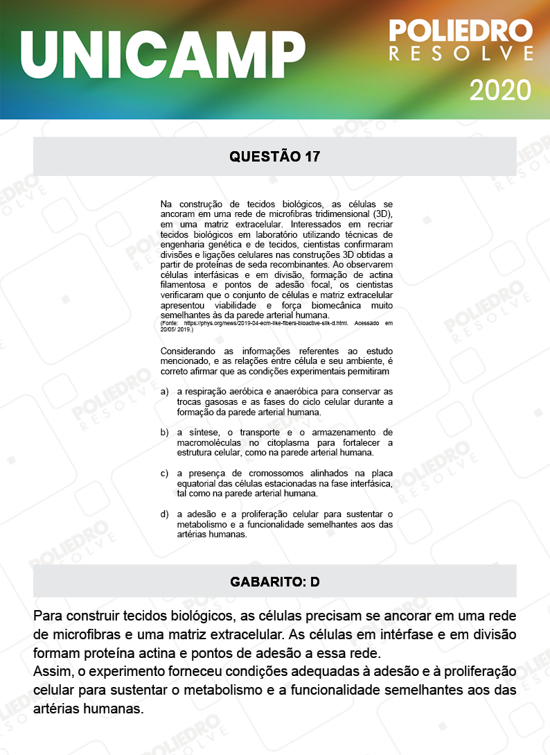 Questão 17 - 1ª Fase - Prova Q e X - UNICAMP 2020