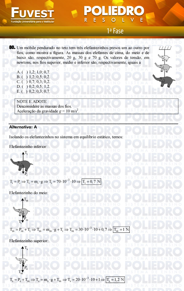Questão 80 - 1ª Fase - FUVEST 2012