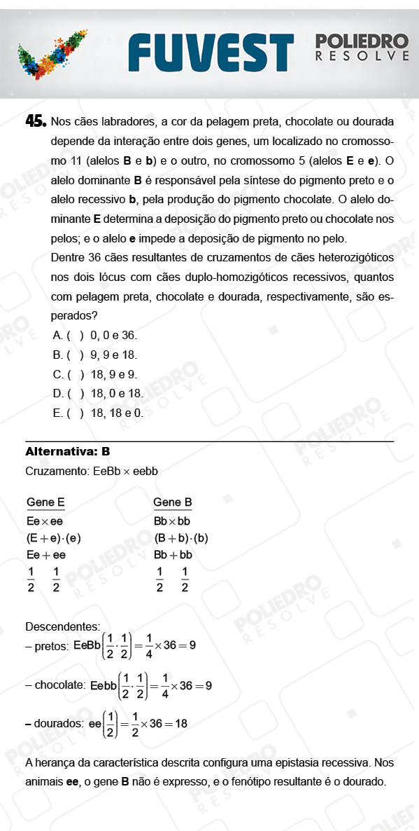 Questão 45 - 1ª Fase - PROVA V - FUVEST 2018